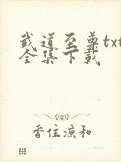 武道至尊txt全集下载
