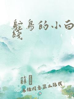 鸵鸟的小白脸路线