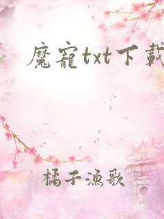 魔宠txt下载