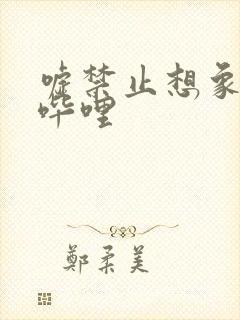 嘘禁止想象哔哩哔哩