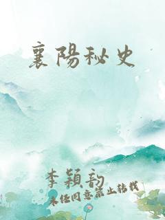 襄阳秘史