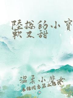 陆总的小宝贝又软又甜