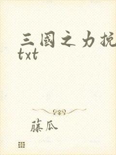 三国之力挽狂澜txt