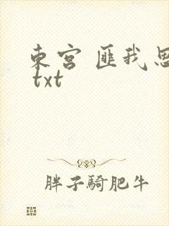 东宫 匪我思存 txt