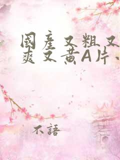 国产又粗又猛又爽又黄A片小说