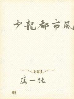少龙都市风流行