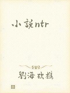 小说ntr