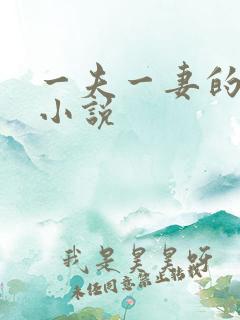 一夫一妻的玄幻小说