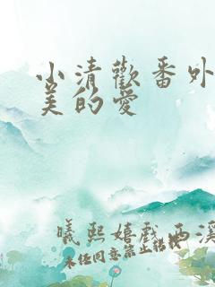 小清欢番外篇完美的爱