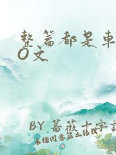 整篇都是车的PO文