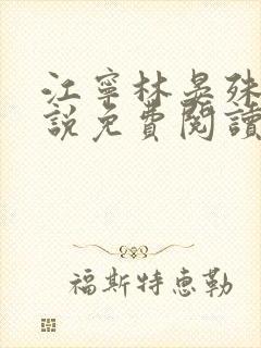 江宁林晏殊的小说免费阅读