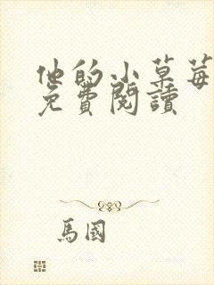 他的小草莓全文免费阅读