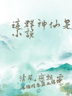 这群神仙是假的小说