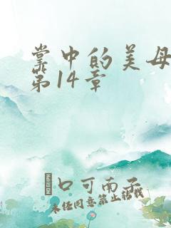 掌中的美母版主第14章