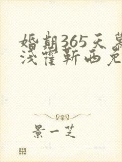 婚期365天慕浅霍靳西免费阅读
