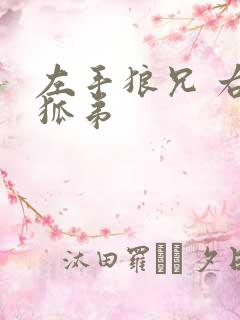 左手狼兄 右手狐弟