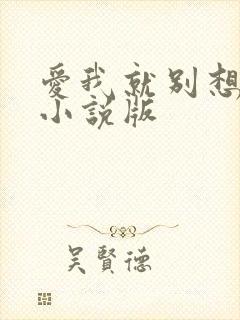 爱我就别想太多小说版
