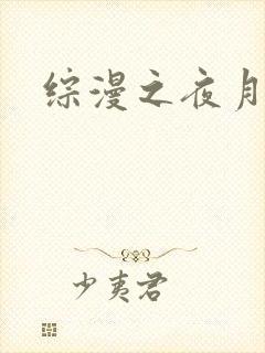 综漫之夜月