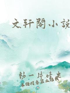 文轩阁小说网