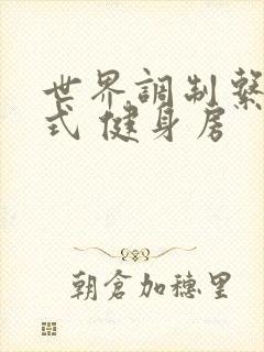 世界调制系统模式 健身房