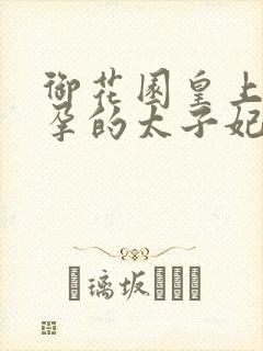 御花园皇上C有孕的太子妃