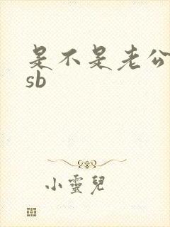 是不是老公的小sb