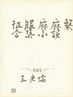 征服麻麻系列大合集小说