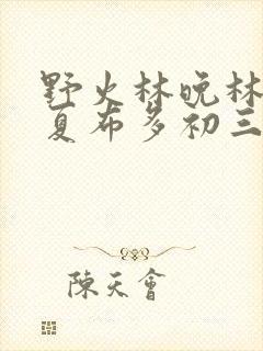 野火林晚林潮生夏布多初三边缘