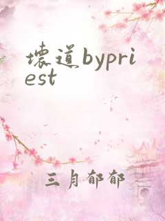 坏道bypriest