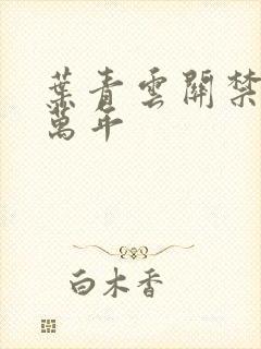 叶青云关禁闭一万年