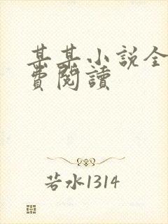 某某小说全文免费阅读