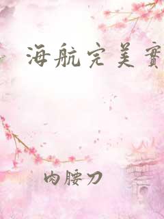 海航完美实习生