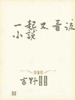 一起又看流星雨小说