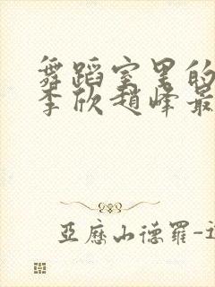 舞蹈室里的景色李欣赵峰最新章节