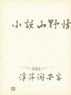 小说山野情债