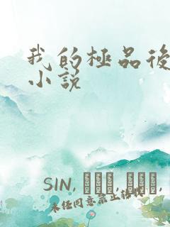 我的极品后宫 小说