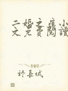 二婚之痒小说全文免费阅读