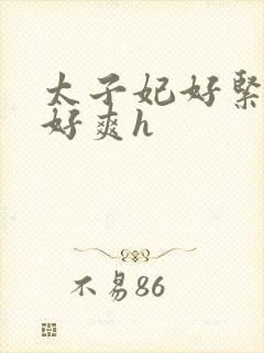 太子妃好紧皇上好爽h