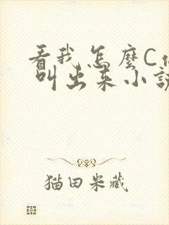 看我怎么C你的 叫出来小说