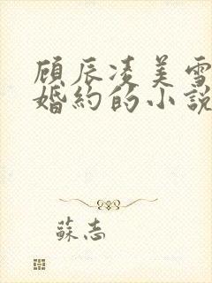 顾辰凌美雪五份婚约的小说名字叫什么