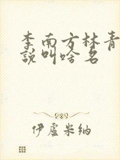 李南方林青青小说叫啥名