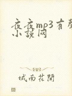 夜夜mp3有声小说网