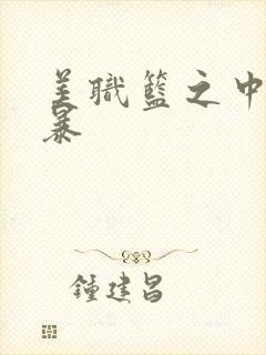 美职篮之中国风暴