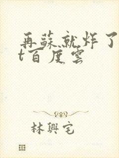 再苏就炸了txt百度云