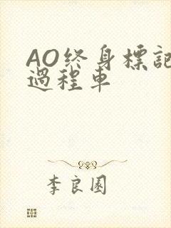 AO终身标记全过程车