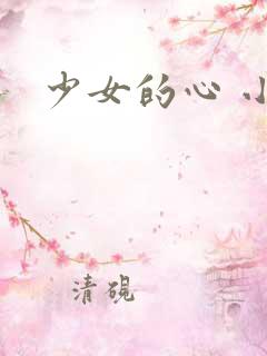 少女的心 小说