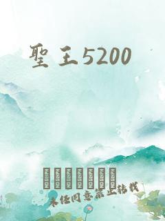 圣王5200