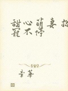 甜心萌妻 总裁宠不停