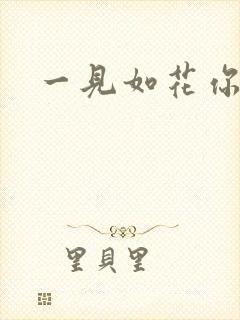 一见如花你就笑