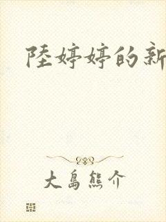 陆婷婷的新故事